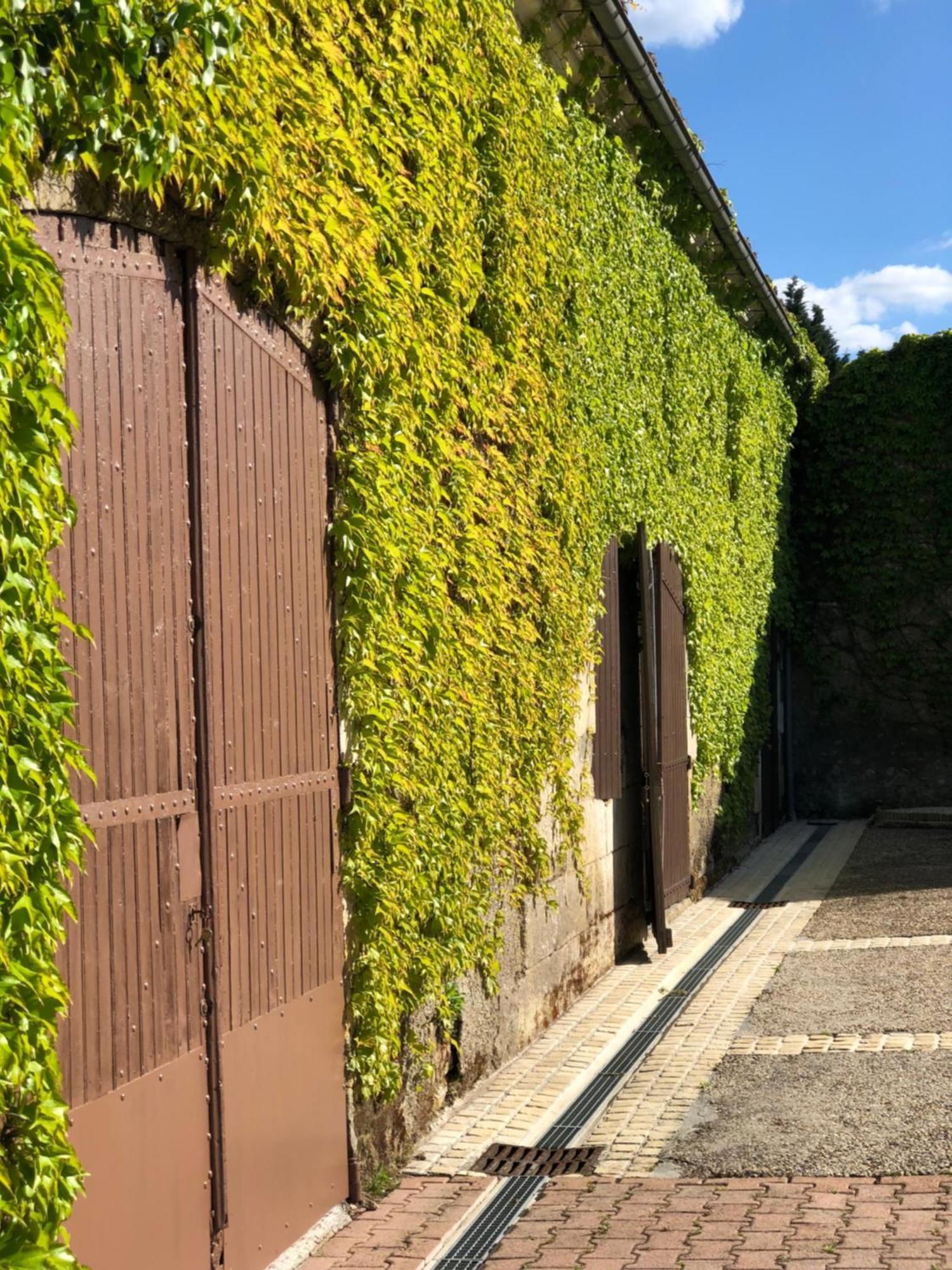 Le Domaine Du Haut Preau Saint-Palais-de-Negrignac ภายนอก รูปภาพ